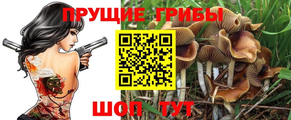 Осинники  Псилоцибиновые грибы прущие грибы  Вход с VPN 